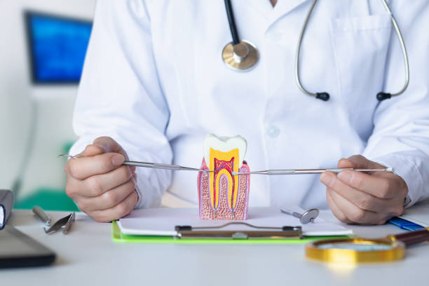 Best Emergency Dentist for Special Needs Patients in Green Oaks, IL